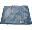Plachta zakrývacia PE 100g/m², 2x3m, PE, EXTOL CRAFT