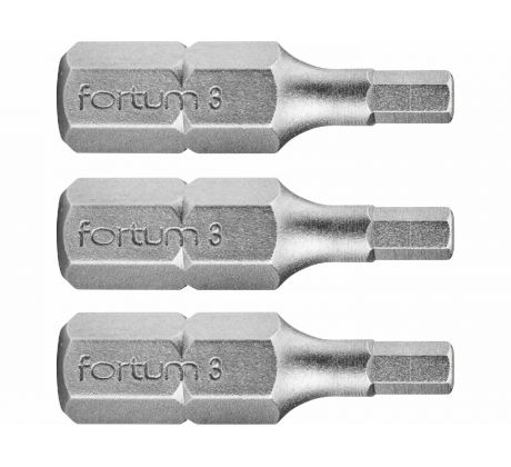 Bit imbus 3ks, H 3x25mm, S2, FORTUM