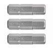 Bit imbus 3ks, H 6x25mm, S2, FORTUM