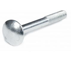 Skrutka vratová DIN603 ZN, 16ks, 6x25, EXTOL PREMIUM