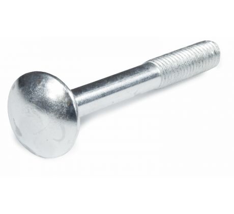 Skrutka vratová DIN603 ZN, 8ks, 8x80, EXTOL PREMIUM