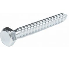 Skrutka do dreva DIN571 ZN, 25ks, 5x40, EXTOL PREMIUM