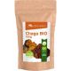 Chaga BIO 100g