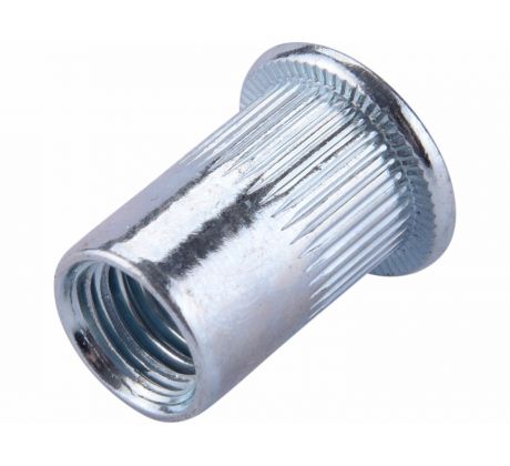 Matice nitovacie oceľové, M10x19mm, 20ks, pozinkované, FORTUM